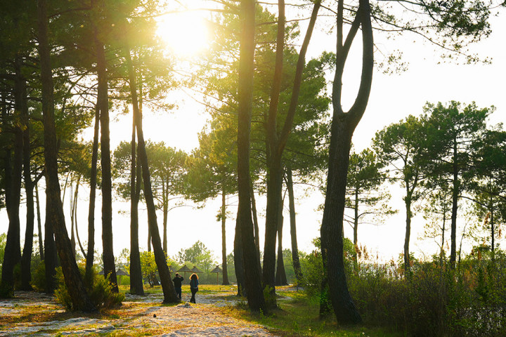 Que faire en vacances en Gironde ?